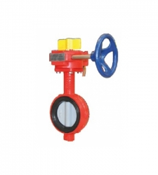 VAN BƯỚM TÍN HIỆU 