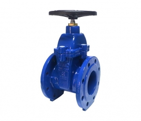  Van cổng DUYAR (T-1437) PN16, F4